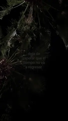 karmadame mi mantra por siempre #zoe #karmadame #viral 