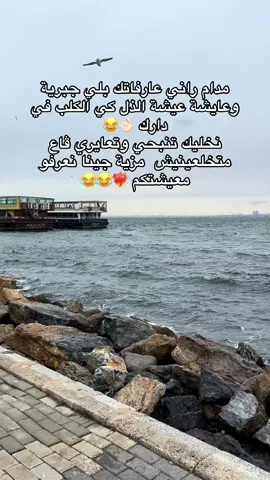 #fouryou #الشعب_الصيني_ماله_حل😂😂 #fyp 