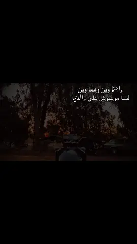 #اكسبلور #🐺❤️‍🔥✅ 