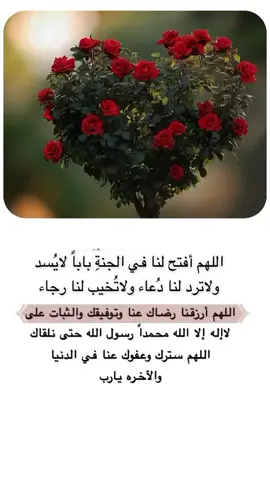 #دعاء_جميل #الابذكر_الله_تطمئن_القلوب_أذكرو_الله #اكسبلورexplore 🤍🕊