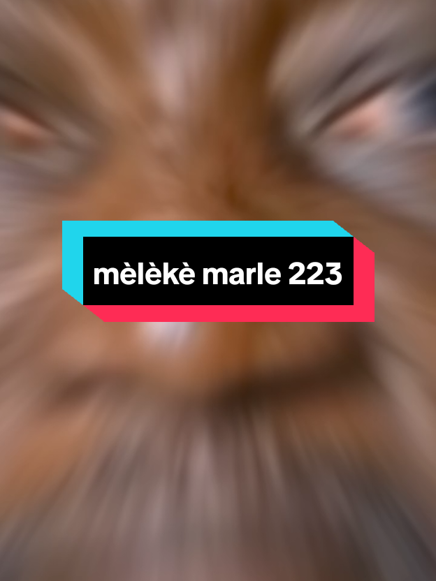 Mèlèkè Marle 223 #MÈLÈKÈ223 #viraltiktok #malitiktok🇲🇱 #videoviral #visibilité 