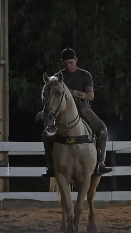 #cavalo #vaquejada 