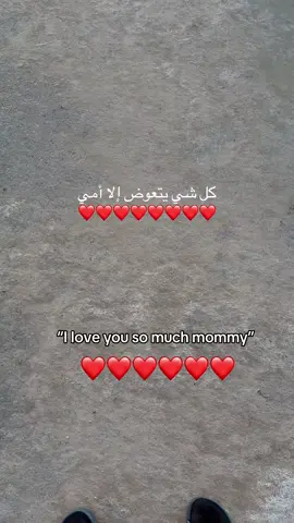 #شعب_الصيني_ماله_حل😂😂 #اكسبلورexplore #الكويت #هشتاق #الحب 