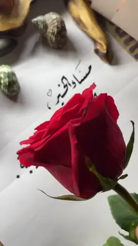 مساء _الخير_ والاحساس_ والطيبه#اك 