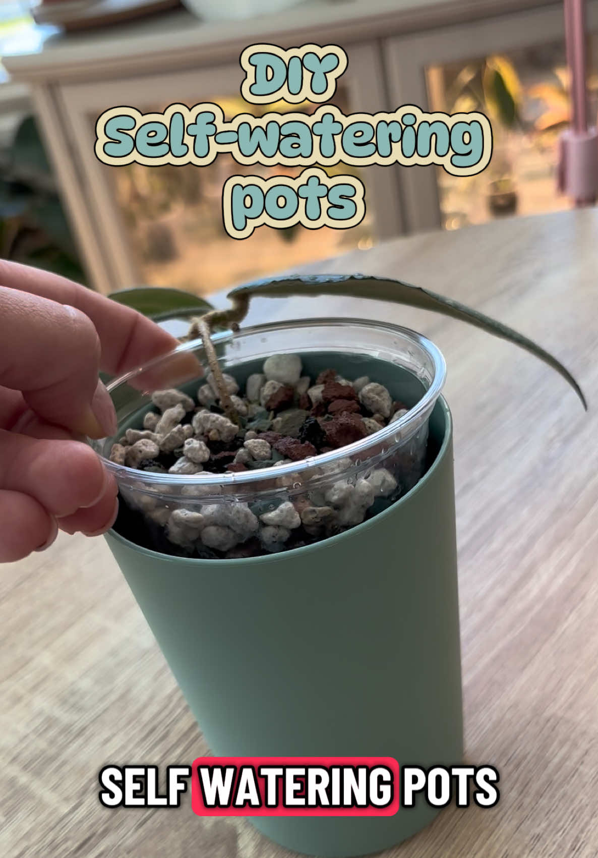 Testing out this DIY self watering pot method. Shoutout @Erin Keys - TheBoujeeGreenhous  for the idea 💕 #plantpots #diyplanter #planthack 