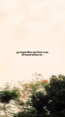 ভুল মানুষের জীবন থেকে বিদায় নেওয়া, কোনভাবেই ক্ষতিকর নয়!🤍 #unscheduled_dairy #popularvideo #foryoupage #foryou #sadstory 