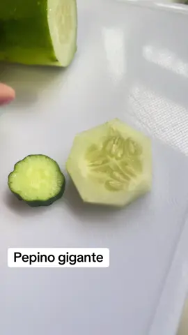 #creatorsearchinsights #pepino#pepinojapones#verduras#japao