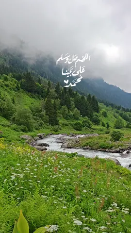 مرتفعات إليفيت، بعد قرية ( جاملهكشن ) يمين, التصوير في 28 / 6        .  سيجان الله، فرق بينها وبين المقطع السابق،، رغم أنها لنفس المكان. #اللهم_صل_وسلم_على_نبينا_محمد #اكسبلورexplore #السعودية #تركيا #صباح_الخير 