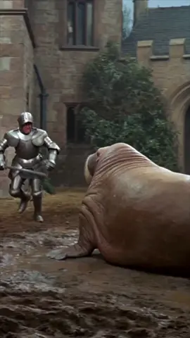 England was a confusing place in the 1300s. #walrus #knight #medieval #dragon 