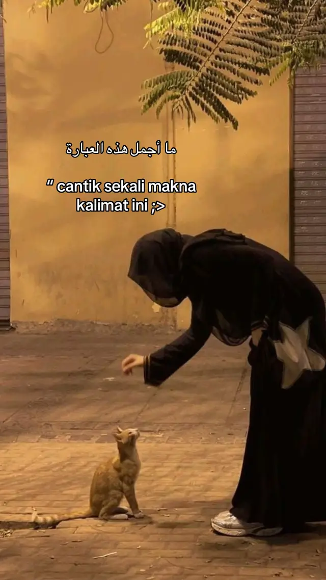 #reminder #quotesaesthetic #fyp #story #sadstory 
