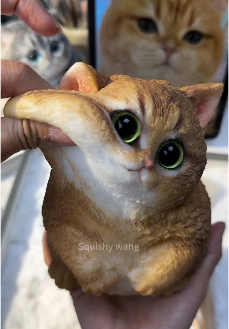 The cat: How adorable I am! #DIY #squishy #cute #handmade #custom 