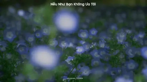 Nếu như bạn không ưa tôi… #nhactrung #nhactrungquoc #lyricsvideo #如果你看不惯我 #xuhuongtiktok 