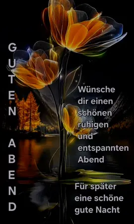 #schönabend💖gewünscht🌺 