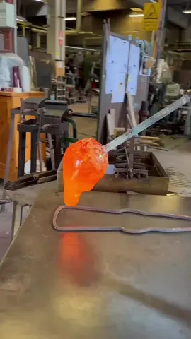 Molten glass dances between fire and breath, transforming into a masterpiece of light, color, and movement. Every curve tells a story shaped by heat, patience, and imagination. Glass blowing is more than an art form — it is a living performance where raw elements become delicate sculptures frozen in time. From glowing furnaces to the gentle spin of the blowpipe, each creation captures the balance between strength and fragility. Transparent waves, vibrant swirls, and shimmering reflections turn simple glass into breathtaking décor, elegant vases, abstract sculptures, and timeless artistic expressions. The beauty of glass art lies in its unpredictability. No two pieces are ever exactly the same. Every bubble, twist, and flowing line reflects the artist’s hand and creative spirit. Watching molten glass transform under intense heat is mesmerizing — a magical blend of craftsmanship, science, and artistic passion. Whether displayed in galleries, modern interiors, or personal collections, hand-blown glass carries warmth, soul, and originality that machine-made objects can never replicate. Glass blowing celebrates creativity through fire, where imagination melts into reality. It represents patience, precision, and the courage to shape something beautiful from chaos. Each glowing masterpiece reflects light in unique ways, creating ever-changing shadows and colors that bring life into any space. The art of blown glass is timeless, elegant, and endlessly inspiring — a true fusion of craftsmanship and imagination. #GlassBlowing #GlassArt #HandBlownGlass #ArtGlass #GlassArtist 