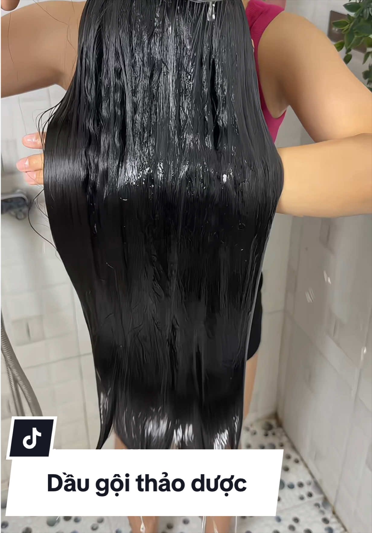 Dầu gội thảo dược Mỹ Nhiên siu thơm , mềm mượt tóc xài thích lắm mấy bà đọc đánh giá là biết uy tín cỡ nào #daugoimynhien  #daugoithaoduoc  #daugoi  #daugoithiennhien 