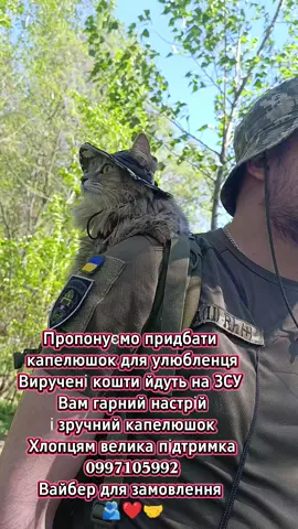 Бойові КОТИКИ ЗСУ ✅#ua #капелюшокдлякота#ЗСУ#ukrainewarrussia #україна🇺🇦 