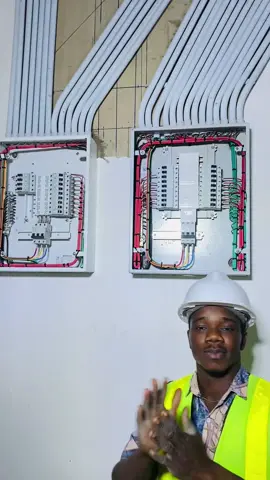 NA ME OOO ….na me be pepper na be salt ooo🤣🤣🤣 #fypppppppppppppp #electricalengineer #500kviews #trend 