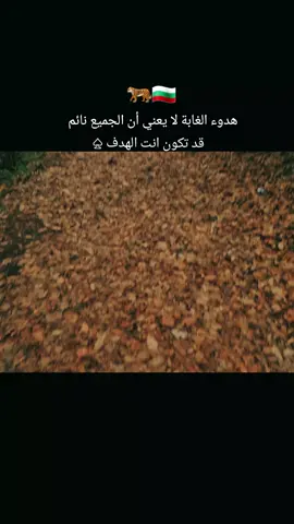 #حسوالنعيمي #الغابات #بلغاريا🇧🇬🦅 #اعادة_النشر🔃 #الاصلي💯 