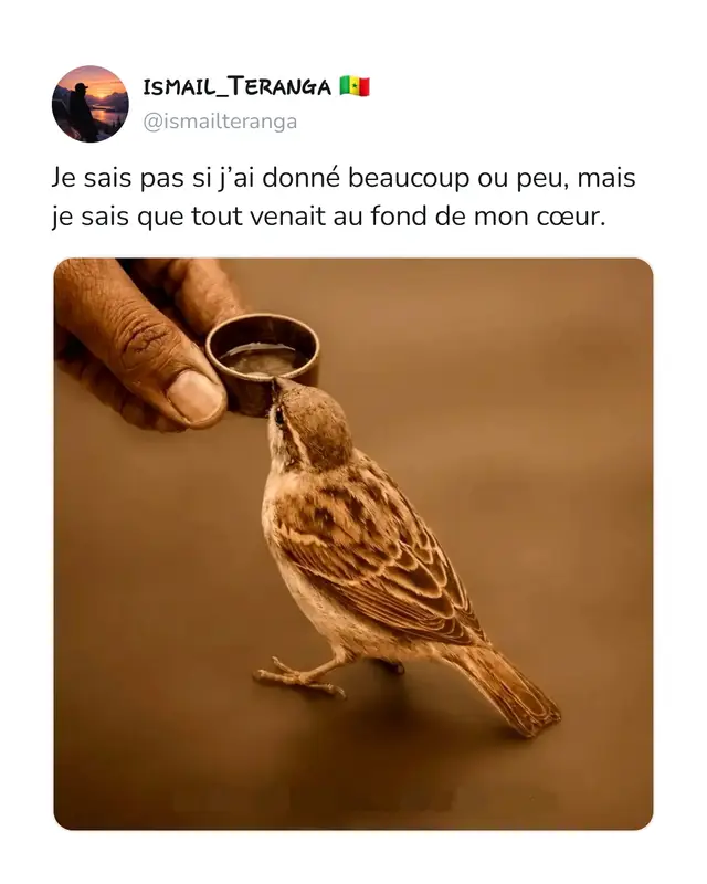 On ne mesure pas la valeur de ce qu’on donne à sa quantité, mais à la sincérité qui l’accompagne.  Les âmes honnêtes donnent sans calcul, parce que certaines intentions valent plus que toutes les richesses du monde. #pourtoi #citation #fyp #amour #pourtoii 