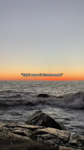 hissedememek. #fthlyrics 