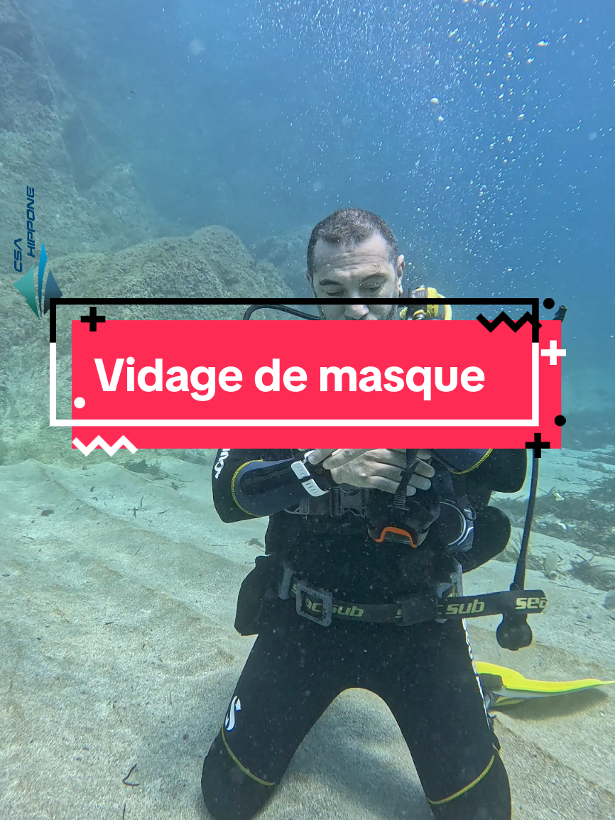 HIPPONE SUB ANNABA  plongée Sous-marine en Algérie  plongée Sous-marine ANNABA  الغوص في الاعماق.  تكوين غوص كل المستويات في عنابة  DIVING ANNABA 