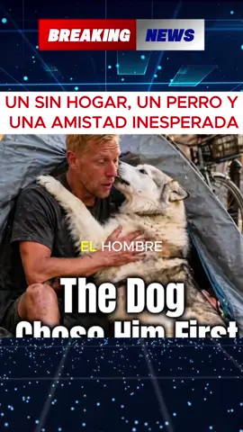 Un sin hogar, un perro y una amistad inesperada #Francia #Perro #Historia #Emotivo #Viral