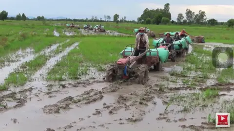 #ទេសភាពស្រុកស្រែ🌄🏜️🌱🌼🌾🐟 #ស្រុកស្រែ #140bpm 