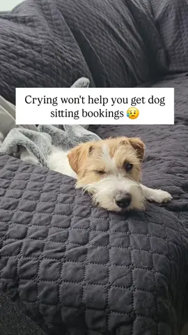 If you really want dog sitting bookings, it's time to stop hoping, wishing and wanting... And start doing something that will yield results. I, too,waited and waited hoping momentum would eventually build... But it was SLOW progress! When I decided I was sick of waiting and started being proactive, that's when things changed for me. I wasn't a marketer but I decided I needed to know how to market myself if I ever wanted to stand out amongst the hundreds of other sitters in my area. So I sat down and spent hours drafting a sitter profile which quite frankly ending up selling itself! (Or myself, I should say...) It took a while from researching what should go in there to taking out all the fluff. Finally, I was happy, and low and behold, booking requests swiftly followed. I'm amazed that's all it took! However, most sitters throw together a profile in 5-10 minutes because they don't know any other way to do it. No one has shown you. But I'm sharing what dog owners actually WANT to see in a sitter profile. What grabs their attention and makes them actually notice you. These are the profiles that actually get booked! I have 7+ years experience as a sitter, so if you want to use the exact profile structure that works for me 👉🏽 Comment 