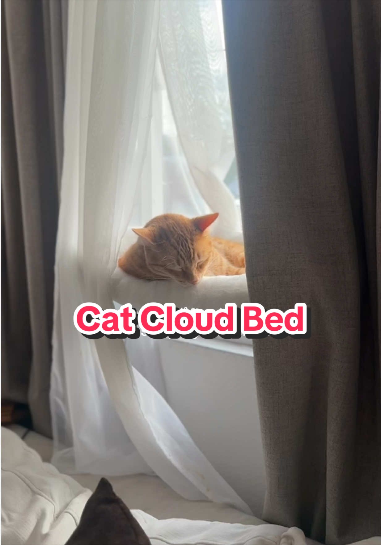 #cat #catbed #cloudbed 
