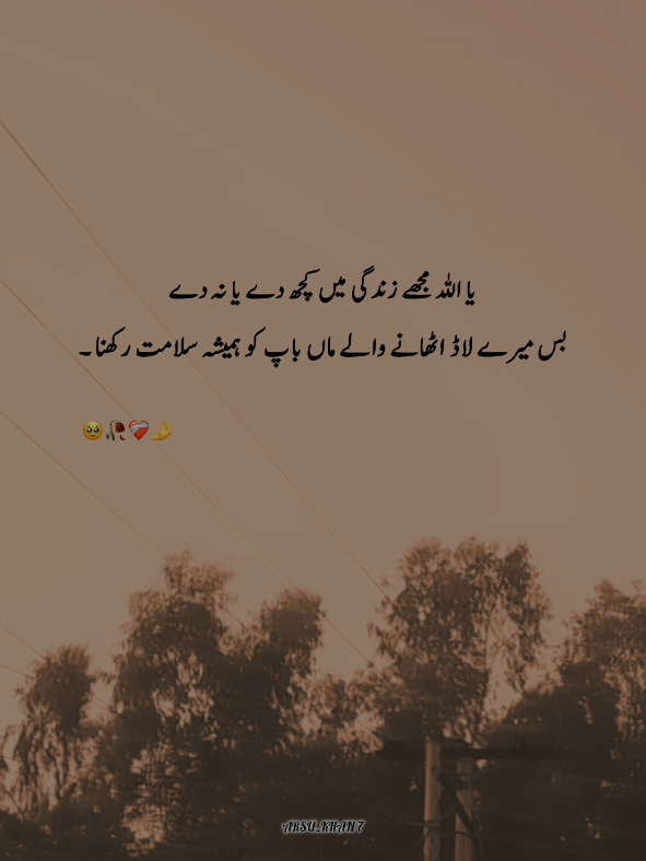 Ameen🤲🥹❤️‍🩹🥀 * * * * #foryou #urdupoetry #arsu_khan7 #poetrystatus #unfrezzmyaccount 