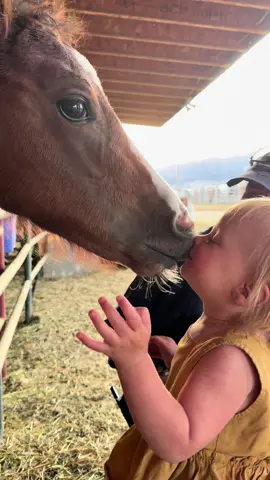 Loves on Ember but we are keeping a gate in between us 😂 #HorseLife #barnlife #blessed 