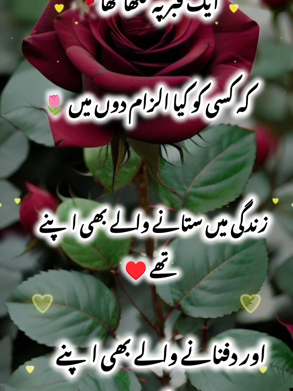 ik qaber pay likha hai ka Kisi kl Kya 🥀♥️💔#fyp #foryou #foryoupage #trending 
