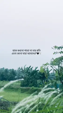 যাকে কখনো পাবো না তার প্রতি এতো কেনো মায়া আমাদের