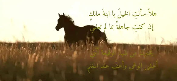 هلاّ سألتِ الخيلَ يا ابنةَ مالكٍ  إن كنتِ جاهلةً بما لم تعلمي يُخبرك من شهدَ الوقيعةَ أنّني أغشى الوغى وأعفُّ عند المغنمِ  ولقد ذكرتُكِ والرماحُ نواهِلٌ منّي وبيضُ الهِندِ تَقطرُ مِن دَمي فوَدَدتُ تَقبيلَ السُيوفِ لأَنَّهـا لَمَعَت كَبـارِق ثَغرِكِ المُـتَبَسِّمِ#عنترة_بن_شداد #explore #شعر#frypgシ #explore 