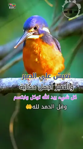 #عادت_نشر🔁_محظور_مشهدات #creatorsearchinsights #ود_جمال_حفظه_الله_وراك #مليون_مشاهدة❤ #