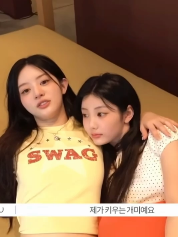 wonhee jail banget sih  #minju#wonhee#illit#fyp 