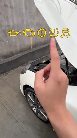 #carsoftiktok #cararomatherapy #scanner 