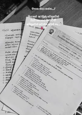 ඉර වගේ බැබලෙන්න ඕනෙනම් ඒ තරම්ම දැවෙන්න සිදු වෙනවා💛☀️             ඔයාගේ අරමුණු විශාල වෙන තරමටම ඔයාට ඒ වෙනුවෙන් වැඩ කරන්න සිදු වෙනවා#viraltiktok #motivation #hardwork #study #studymotivation 