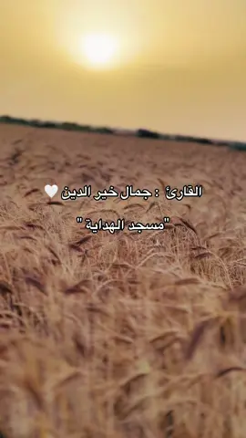 #عبد_النور_رحيم #الجزائر🇩🇿 #السعودية🇸🇦 #القراءن_الكريم #شعب_الصيني_ماله_حل😂😂 