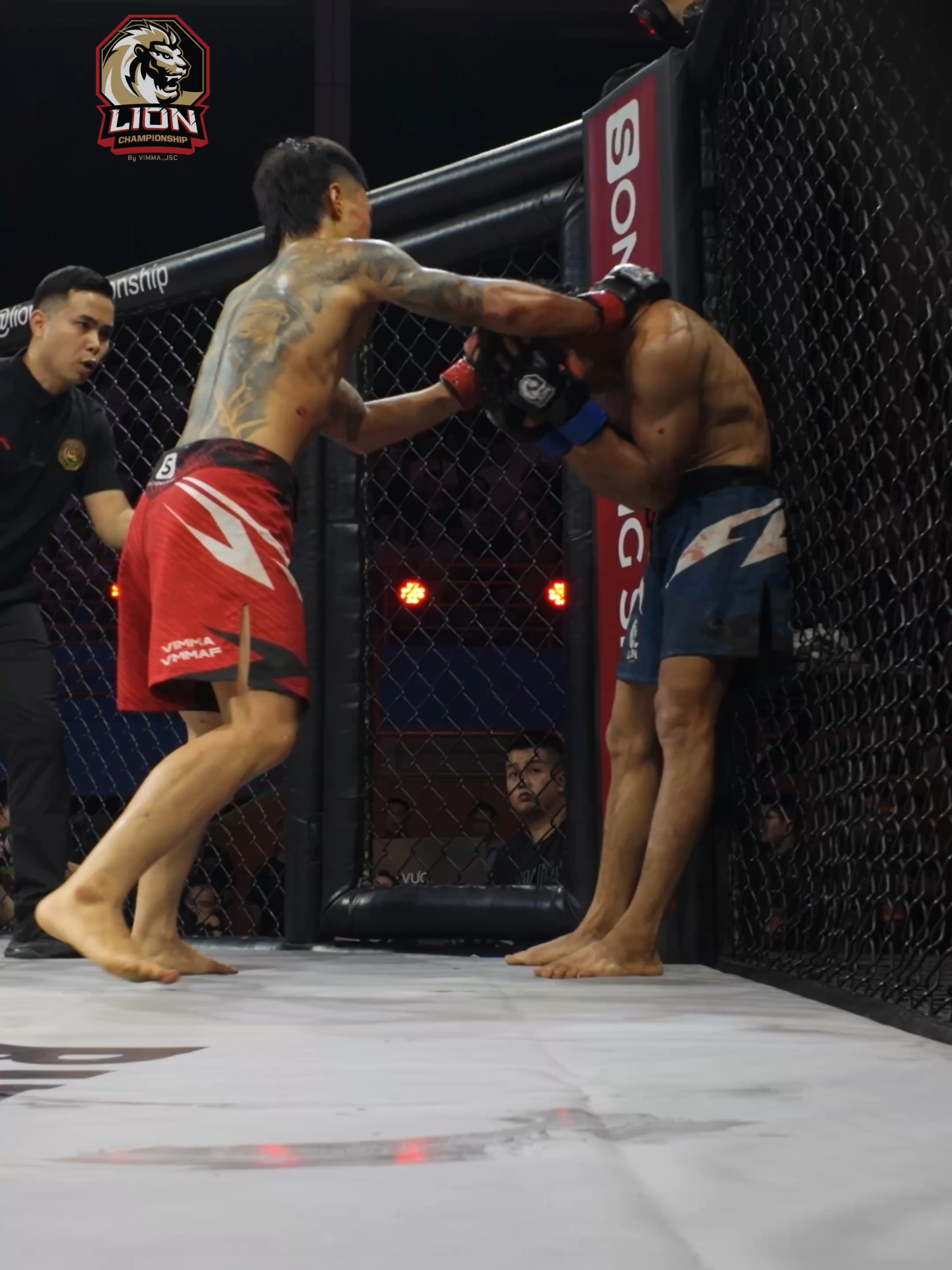 BÙI ĐÌNH KHẢI TRỞ LẠI VỚI CẢM GIÁC CHIẾN THẮNG THEO CÁCH QUÁ MÃN NHÃN 👏 #LC31 #LIONChampionship #lionchampionship2026 #mma #LIONREBORN