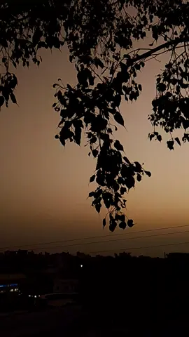 انسان امیدوں سے بندھا ہوا ایک ضدی پرندہ ہے جو گھائل بھی امیدوں سے ہے اور زندہ بھی امیدوں پر ہے #creatersearchingsight 