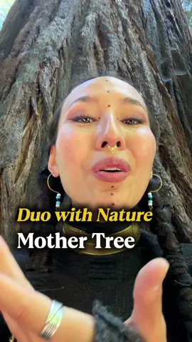 A little message from big ancestors of Earth, The Mother Tree that witnessed 20 generations of human. She is 1000 years old and still provides nutritions and shelter to her young ones🥹 #tree #indigenous #nature #snowraven #viral 