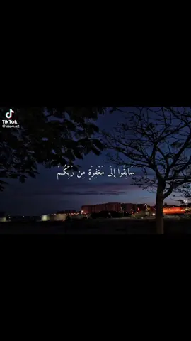 #creatorsearchinsights 