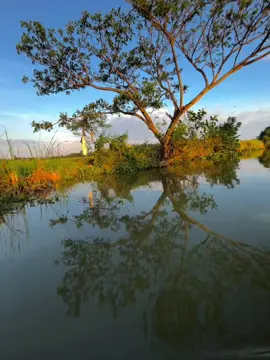Một tình yêu đơn giản, anh yêu em và em yêu anh.. 🍃#ton208👤 