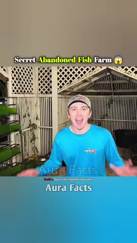 Found Abandoned Fish Farm #shorts #oceanadventure #fishingman #deepseafishing #fishing 