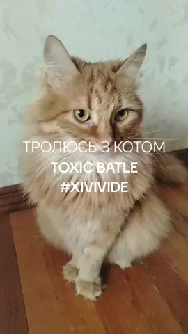 Он мне ногу грыз а я его затролил по жоскаму#xivivide #trolagem #trolling #kot#ezbatle