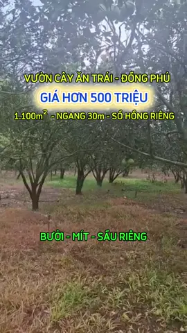 Liên hệ 0937.346.333 gửi đúng sổ và đi xem đất #xuhuongtiktok #datdongnai #datthocugiare #nhadat #datdongphu 