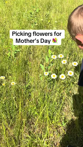 My favorite yearly tradition ! Every Mother’s Day we go a pick Wild Flowers from the field! #wildflowers  #wildflower #mothersday #nature #flowerfields 