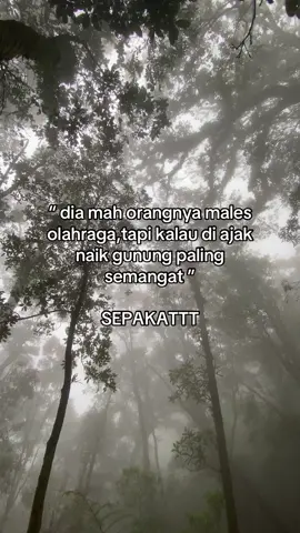 paling ngeluh di track hhe #pendakigunung #pendaki #pendakiindonesia #fyp #pendakifomo 