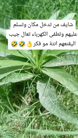 #المتابعه_اللايك_الاكسبلور #هههههههههههههههههههههههههههههههههههههه 
